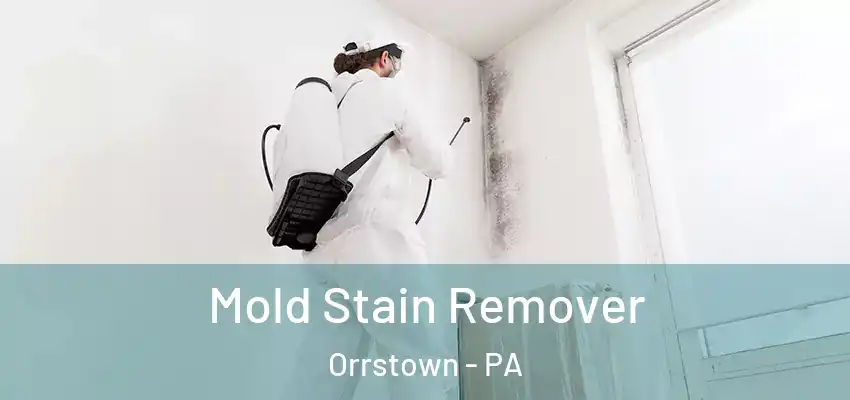  Mold Stain Remover Orrstown - PA