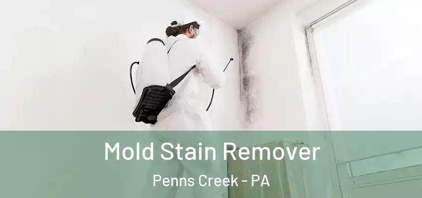 Mold Stain Remover Penns Creek - PA