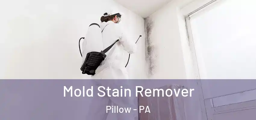  Mold Stain Remover Pillow - PA