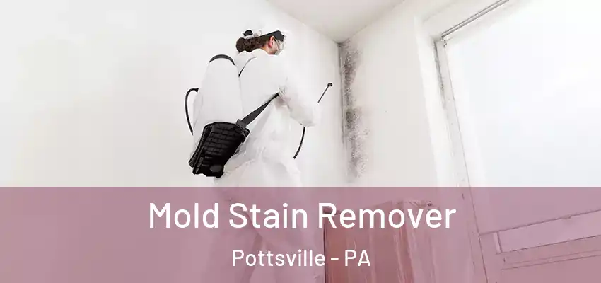 Mold Stain Remover Pottsville - PA