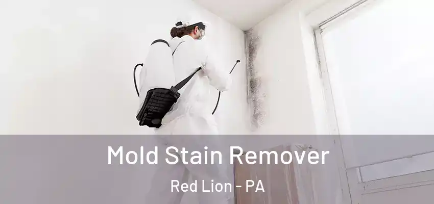  Mold Stain Remover Red Lion - PA