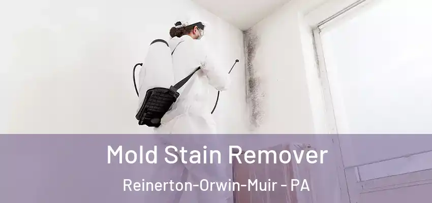 Mold Stain Remover Reinerton-Orwin-Muir - PA
