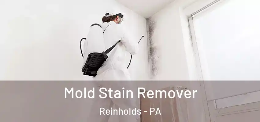 Mold Stain Remover Reinholds - PA