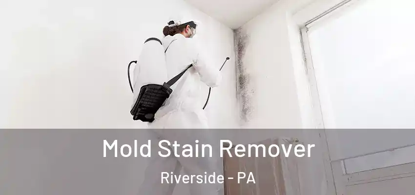 Mold Stain Remover Riverside - PA