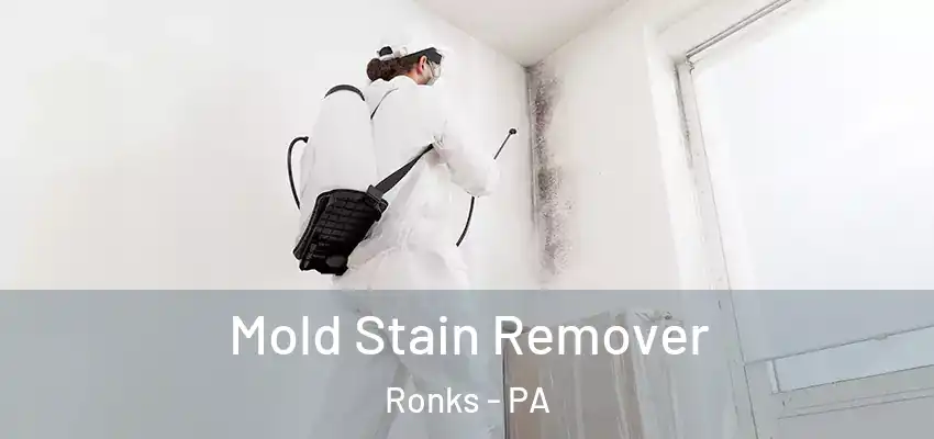 Mold Stain Remover Ronks - PA