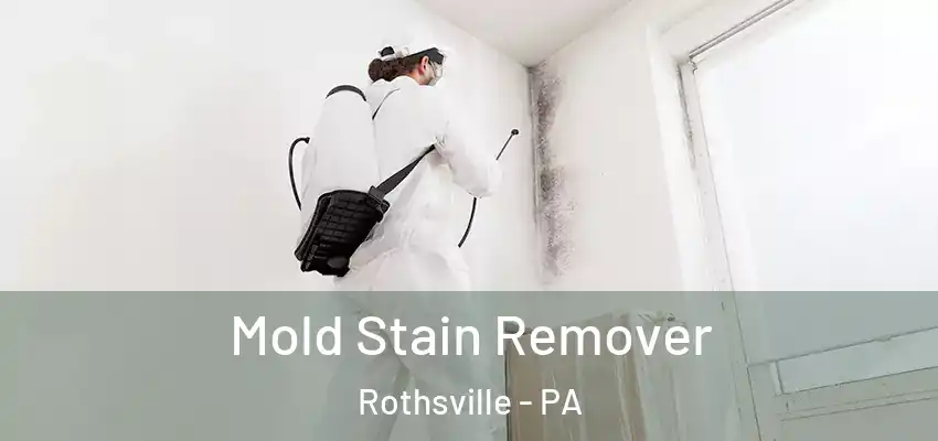 Mold Stain Remover Rothsville - PA
