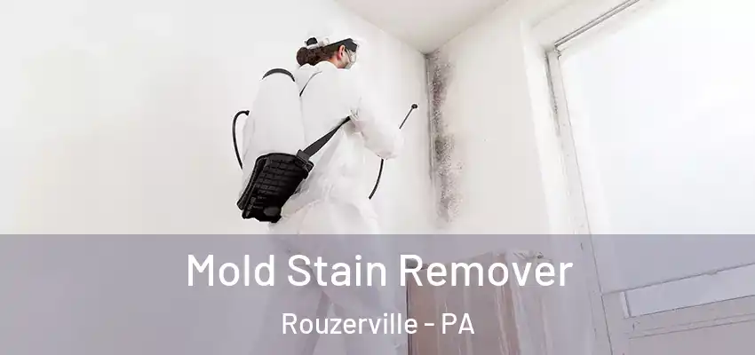 Mold Stain Remover Rouzerville - PA