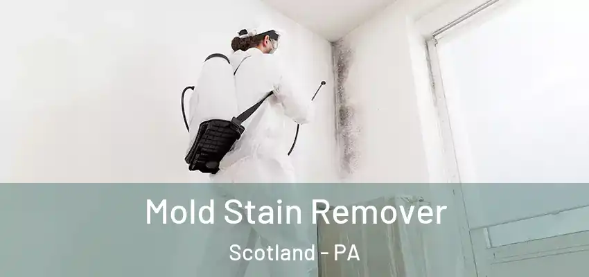  Mold Stain Remover Scotland - PA