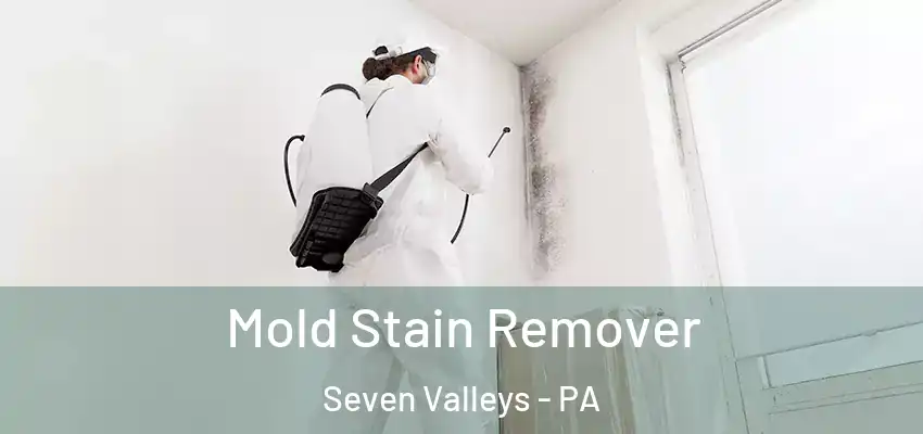  Mold Stain Remover Seven Valleys - PA