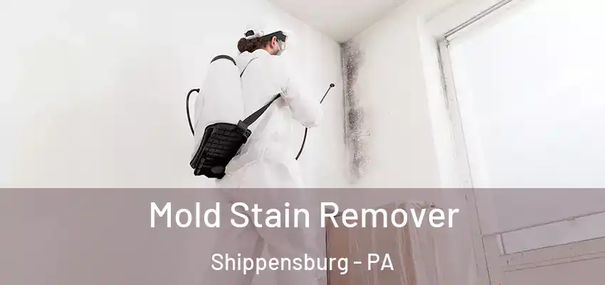  Mold Stain Remover Shippensburg - PA
