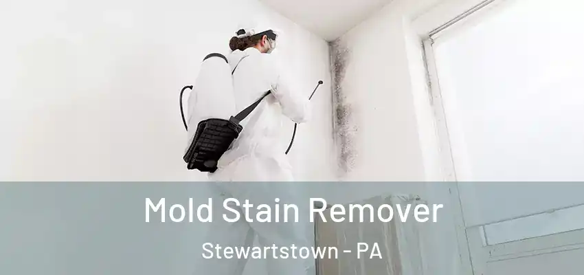  Mold Stain Remover Stewartstown - PA