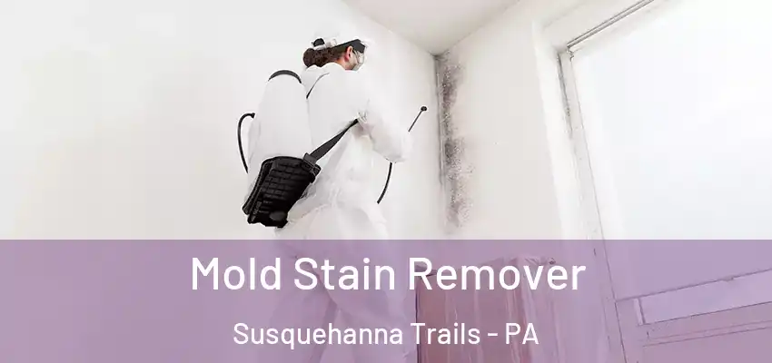 Mold Stain Remover Susquehanna Trails - PA