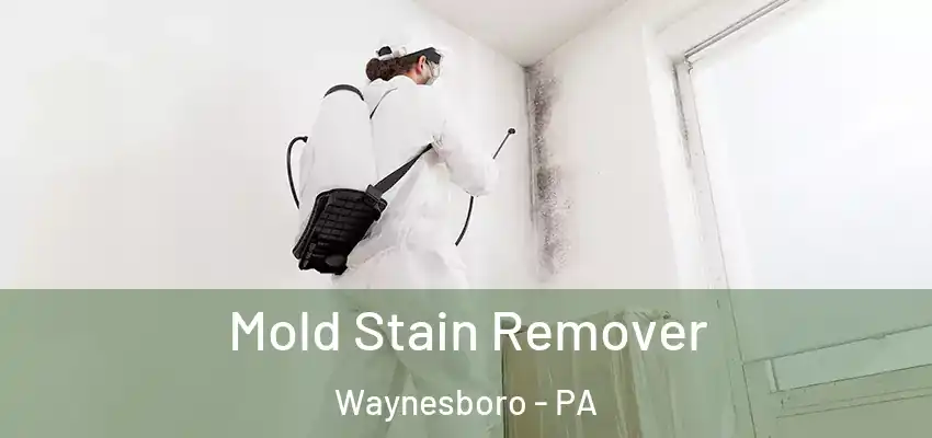 Mold Stain Remover Waynesboro - PA