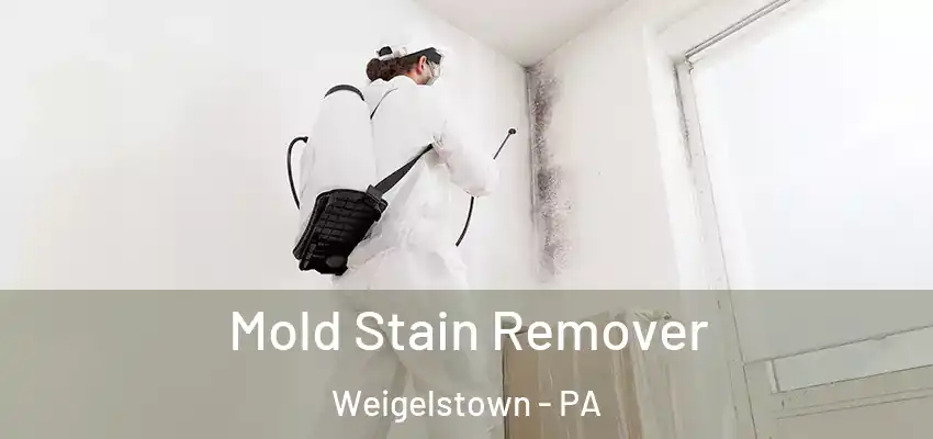 Mold Stain Remover Weigelstown - PA
