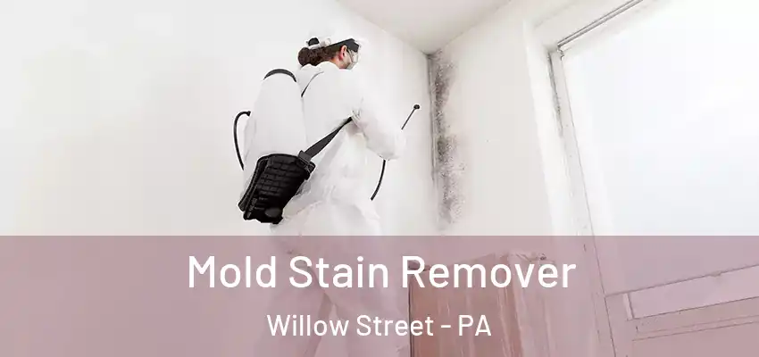 Mold Stain Remover Willow Street - PA