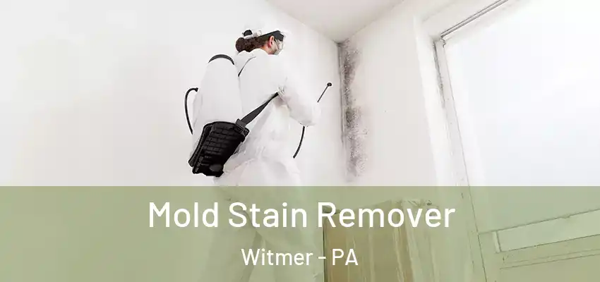  Mold Stain Remover Witmer - PA