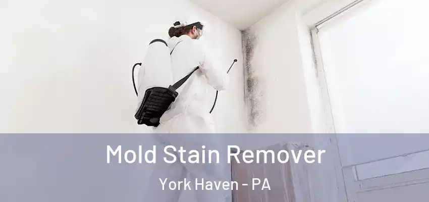  Mold Stain Remover York Haven - PA