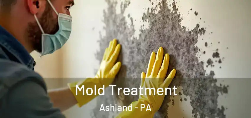  Mold Treatment Ashland - PA