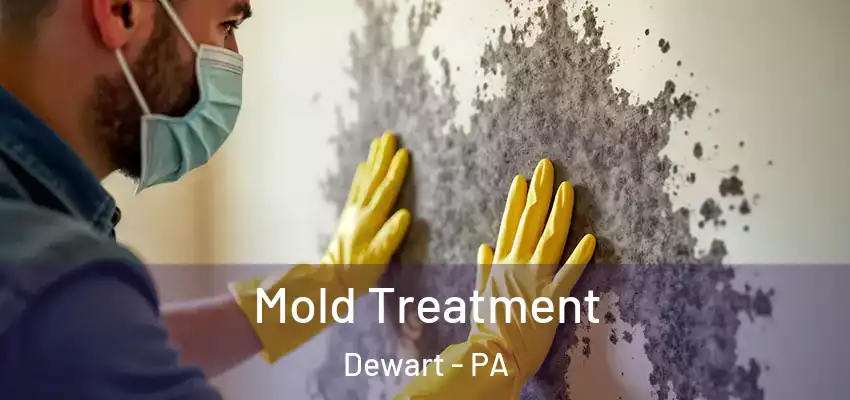 Mold Treatment Dewart - PA