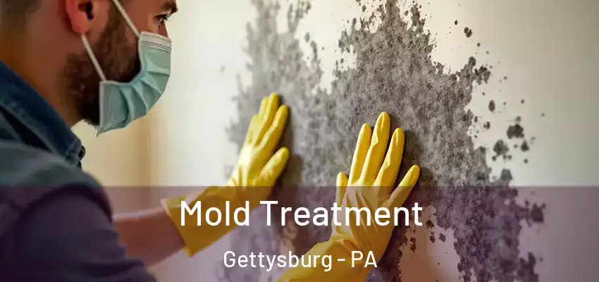 Mold Treatment Gettysburg - PA