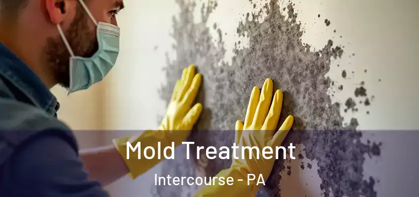 Mold Treatment Intercourse - PA