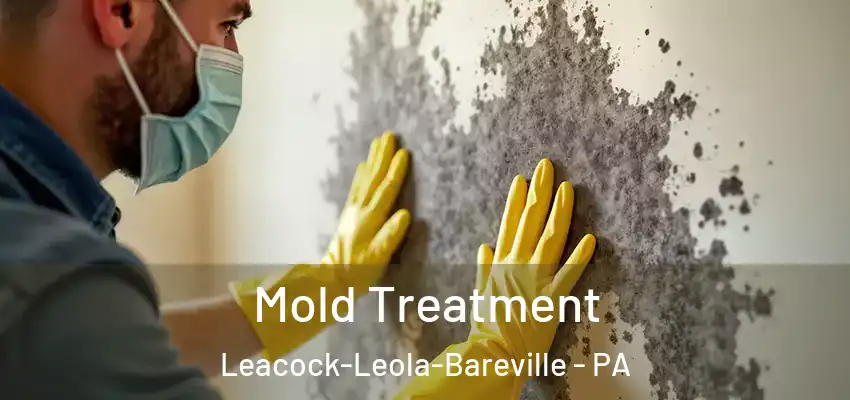  Mold Treatment Leacock-Leola-Bareville - PA