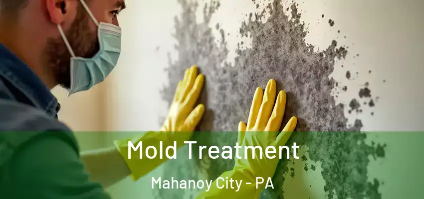Mold Treatment Mahanoy City - PA