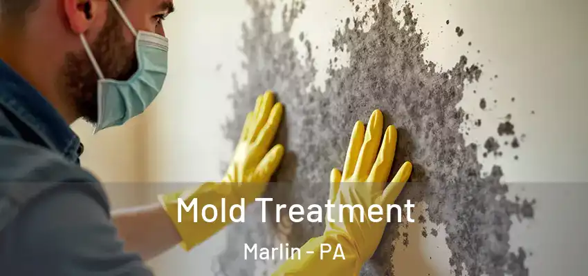  Mold Treatment Marlin - PA
