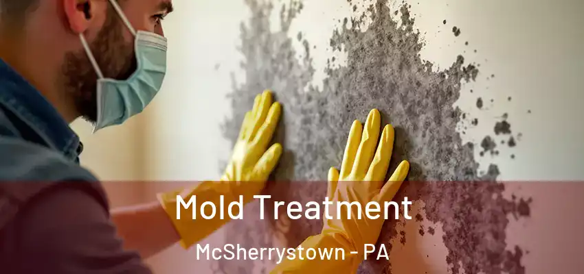 Mold Treatment McSherrystown - PA