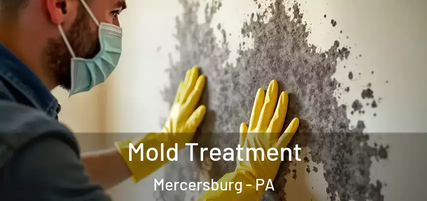 Mold Treatment Mercersburg - PA