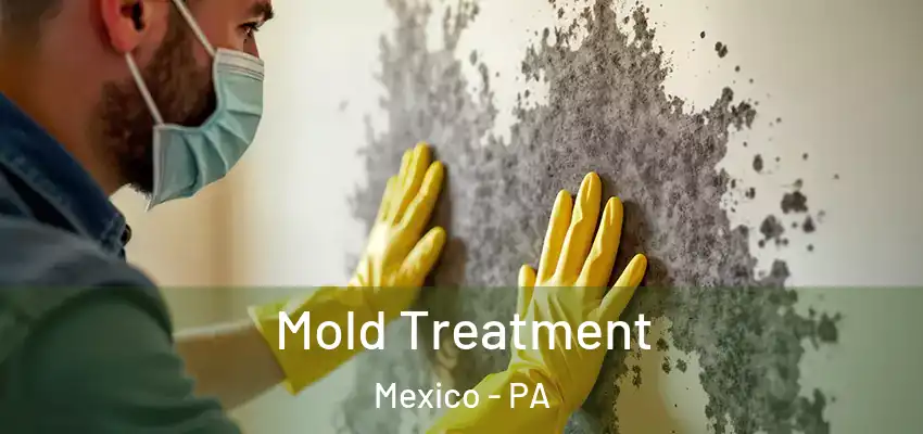 Mold Treatment Mexico - PA
