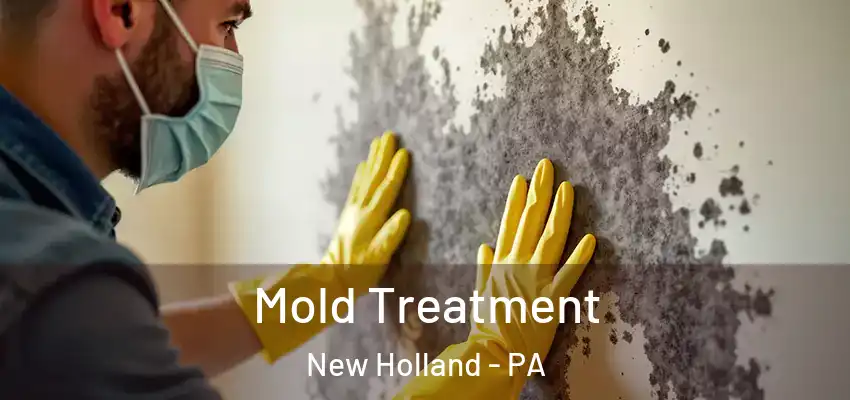 Mold Treatment New Holland - PA