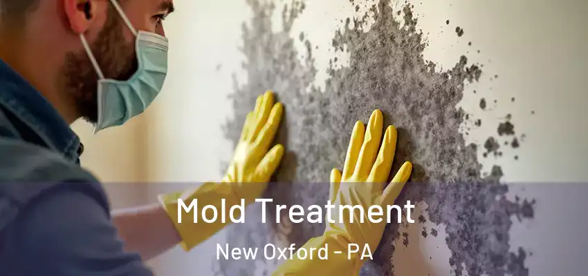 Mold Treatment New Oxford - PA