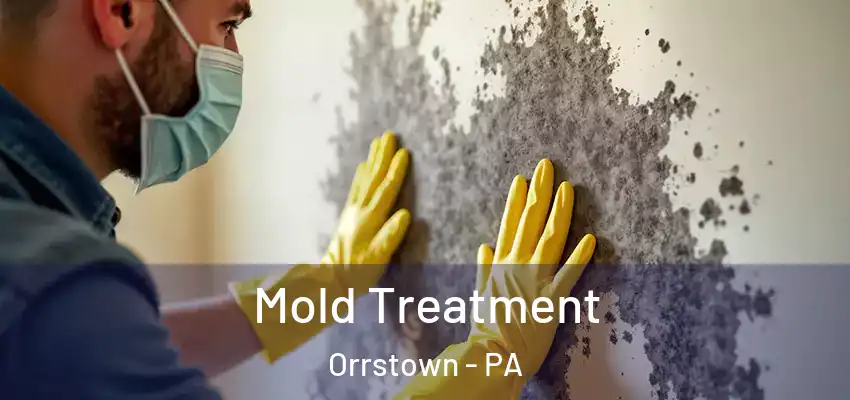  Mold Treatment Orrstown - PA