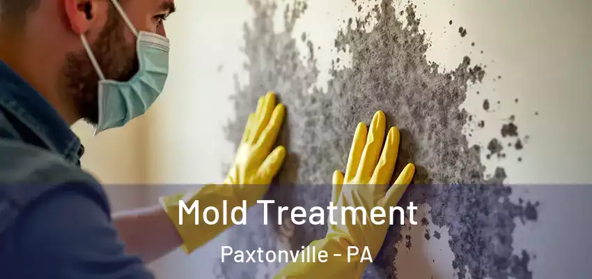  Mold Treatment Paxtonville - PA