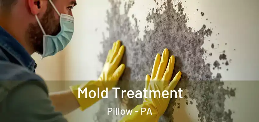  Mold Treatment Pillow - PA