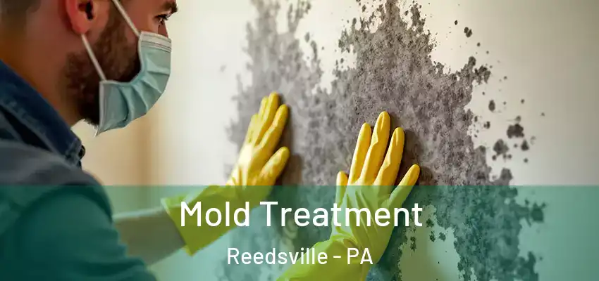  Mold Treatment Reedsville - PA