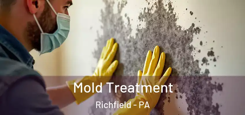 Mold Treatment Richfield - PA