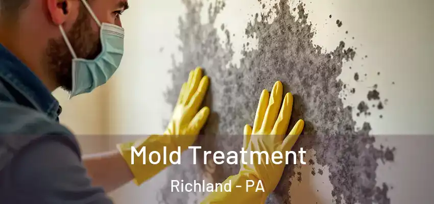  Mold Treatment Richland - PA