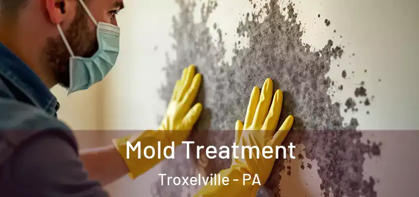 Mold Treatment Troxelville - PA