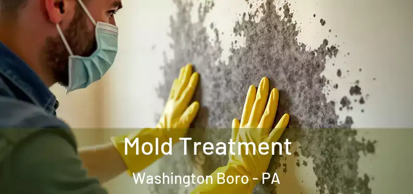  Mold Treatment Washington Boro - PA
