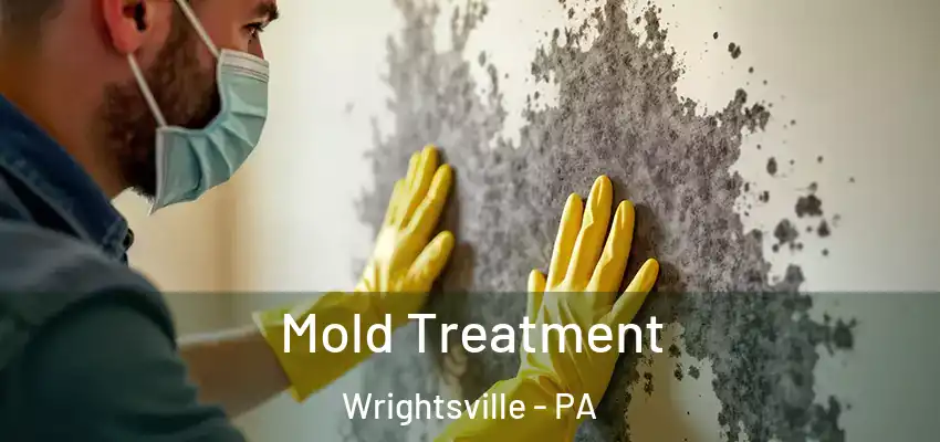 Mold Treatment Wrightsville - PA