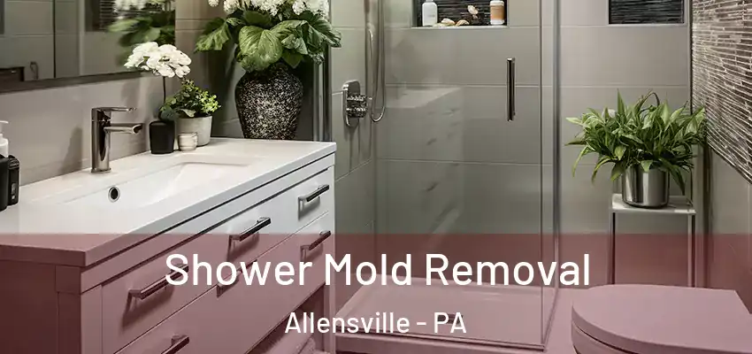 Shower Mold Removal Allensville - PA