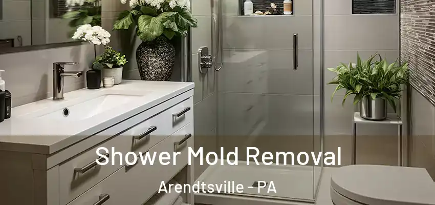 Shower Mold Removal Arendtsville - PA
