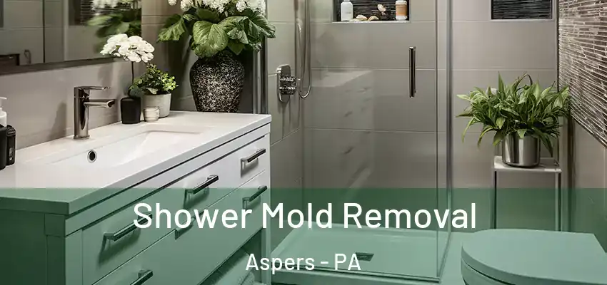  Shower Mold Removal Aspers - PA