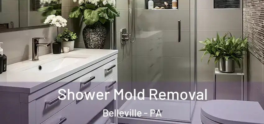 Shower Mold Removal Belleville - PA