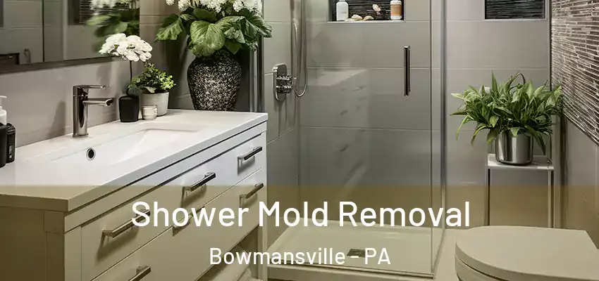 Shower Mold Removal Bowmansville - PA