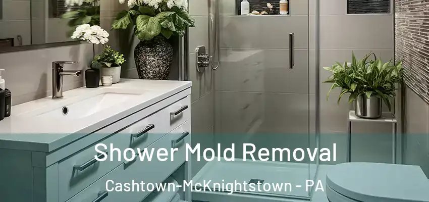  Shower Mold Removal Cashtown-McKnightstown - PA