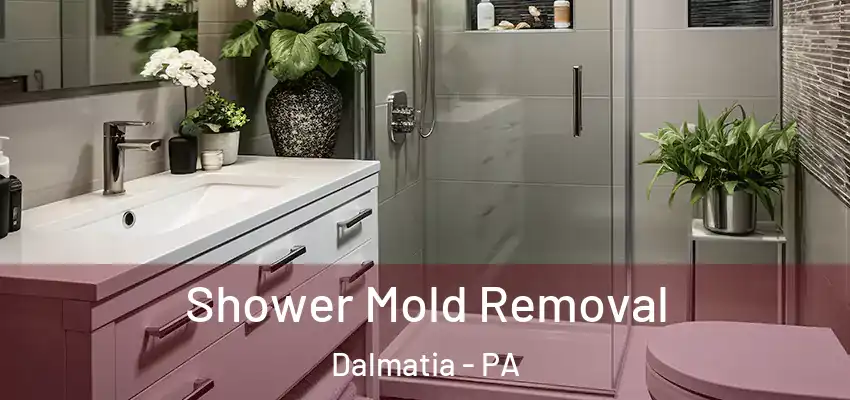 Shower Mold Removal Dalmatia - PA