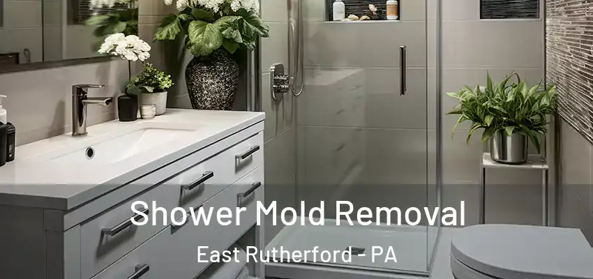 Shower Mold Removal East Rutherford - PA
